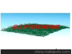 三维土工网垫图1