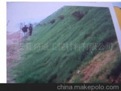 三维土工网垫图1