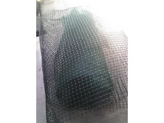供应优质低价土工网，护坡土工网，塑料土工网图1