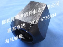 精轧螺母生产厂家图2