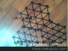 土工格栅图1
