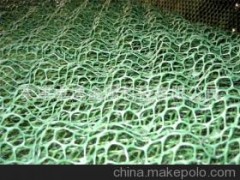 三维土工网垫图1