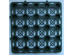 蓄排水板厂家批发图1