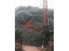 生态棒加工厂，护坡绿化生态棒图1