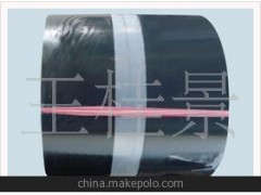 钢板腻子止水带图1