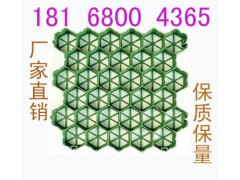 南京精品植草格价格图片优质草坪格型号齐全图1