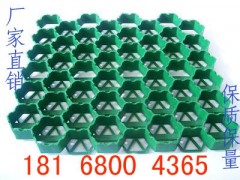 南京精品植草格价格图片优质草坪格型号齐全图2