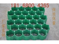 南京精品植草格价格图片优质草坪格型号齐全图3