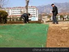 三维土工网垫图1