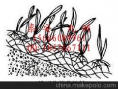 三维土工网垫图1