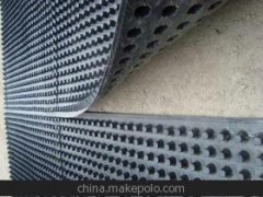 塑料排水板图1