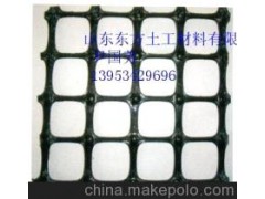 土工网格图1