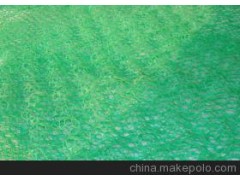 三维土工网垫图1