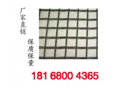 南京优质玻璃纤维土工格栅18168004365陈图2