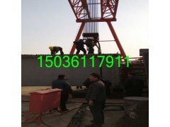 宁夏银川龙门吊出租图1