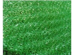 三维土工网垫厂家图2