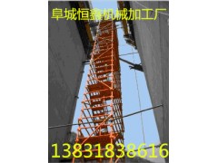 供应河北有品质的安全爬梯生产厂家图1