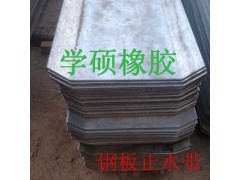 300*8*R16冀州钢板止水带优质服务图2