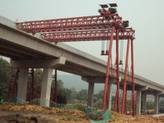 江西南昌龙门吊销售【新东方起重】图2