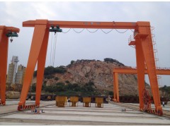 山东济南龙门吊出租厂家图1