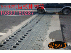 九江伸缩缝有哪几个厂家图3