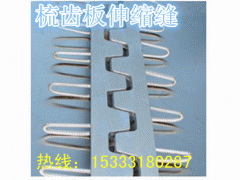 六安伸缩缝/C-80伸缩缝图2