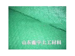 三维固土网垫图1