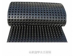 复合排水板图1
