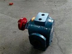 LB型保温沥青泵图1