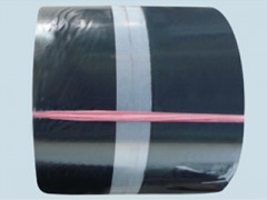 HX型钢板腻子止水带图1