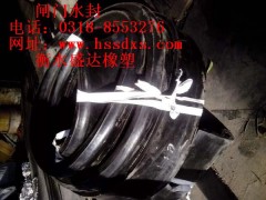 止水橡皮 闸门水封图1