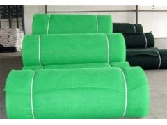 三维植被网，三维土工网垫图1