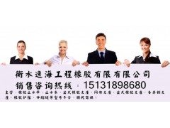 逸海促销氯丁橡胶板颜色及尺寸加工定制图1