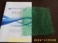 双柱点土工膜图1