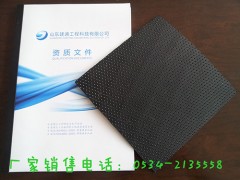 柱点土工膜图1