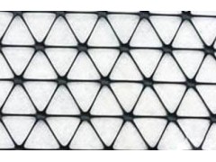 三向拉伸塑料格栅图1
