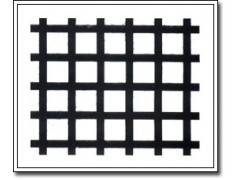 钢塑复合土工格栅（GSL,GDL)图1