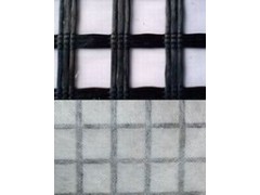 玻璃纤维土工格栅F'GRID图1