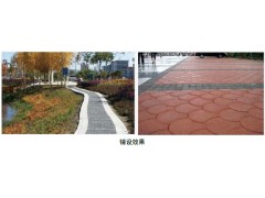 阳光雨生态透水砖 海绵城市专用透水路面砖图2