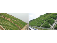 阳光雨护坡砖与滑坡植被图1