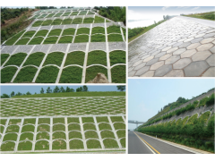 阳光雨护坡砖与滑坡植被图2