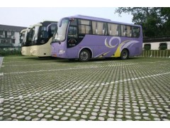 阳光雨植草地坪砖 植草透水地坪图3