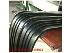 651中埋式止水带图1