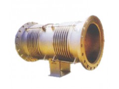 复式带座轴向型（ZB型）补偿器图1