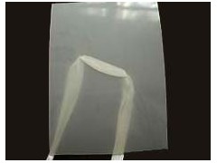 隧道专用EVA吊带防水板图1