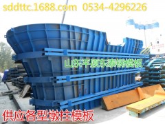 供应租赁山东东泰公路铁路专用钢模板及隧道台车图1