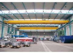 CXTD欧式低净空双梁起重机图1