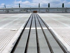 毛勒式伸缩装置/伸缩缝图1