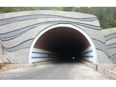 WSD-06隧道专用防火涂料图1