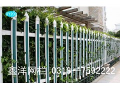 pvc塑钢护栏网图1